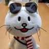 すずぽんた【RC愛知②、大阪②】's profile picture