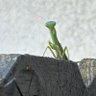 @TheRealBuzzKill87 profil fotoğrafı