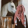 طلال الزهراني♔•'s profile picture