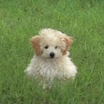 4orett's profile picture