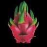 Фото профиля bb