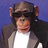 Profilbild von GUAYACØ