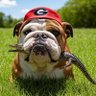 AirsickDawg's profile picture