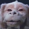 Profilbild von Fuyur