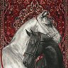 Фото профиля مـجـره 〄