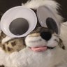 Cardboard Cat 🔜 ASC's profile picture