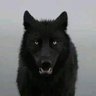 crispy4561's profile picture