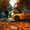 🦋TrizOG💢🔫🔥🙌🏽 的头像