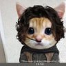 yash profil fotoğrafı