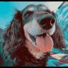 Jackson Moon's profile picture