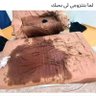 لمن أراد's profile picture