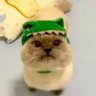 roar's profile picture