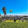 Фото профиля سعود الفدعاني