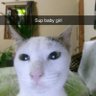 Crazdav🍉 profil fotoğrafı