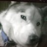 Profilbild von Dr. Grouf