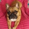 Cathy Weber's profile picture