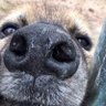 Фото профиля Brownie Yeen