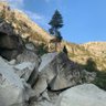 R W profil fotoğrafı