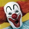 Michael Vaccaro's profile picture