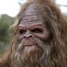 TacticalSasquatch830 的头像