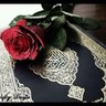 Profilbild von طروا القصيد