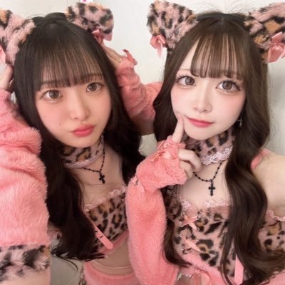 せいみゃん's profile picture
