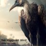 Profilbild von Biggest Bird