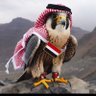 Фото профиля Abu Al-Mustafa