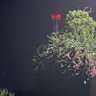 F_23 profil fotoğrafı