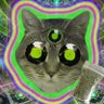 DJ Spin-Whiskers @_@ profil fotoğrafı
