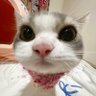 abcdxyz profil fotoğrafı