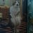 Profilbild von Adam Hall