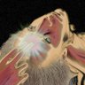 Profilbild von ZDJKN