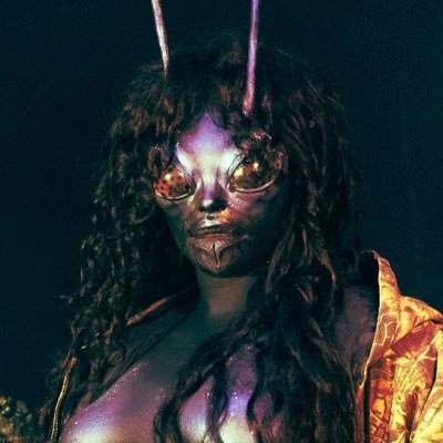 solanafiles's profile picture