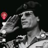 الحمام الطائره profil fotoğrafı