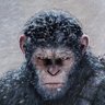 taner's profile picture