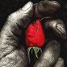 حسام 的头像