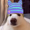 Profilbild von tola the nad 💜🦾