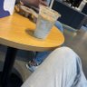理性舆论 的头像