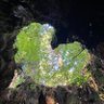 Фото профиля sukida yuu