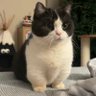zibermilker profil fotoğrafı