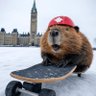 Фото профиля 🍁Canadian Tired🇨🇦