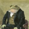 Profilbild von FoundingFrogger