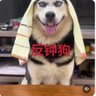 艾中2021's profile picture
