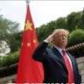 dumbtrump 的头像
