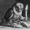 The Wise Old Owl♦️'s profile picture