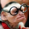 imykaspain's profile picture