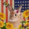 Queen Hammermeister's profile picture