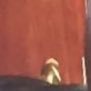 zoo's profile picture