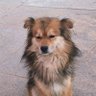李公子's profile picture